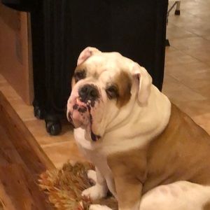 Meet your Posher, Patricia